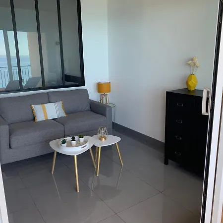 Apartment Superbe T2 Vue Magnifique Sanguinaires A 50m De La *